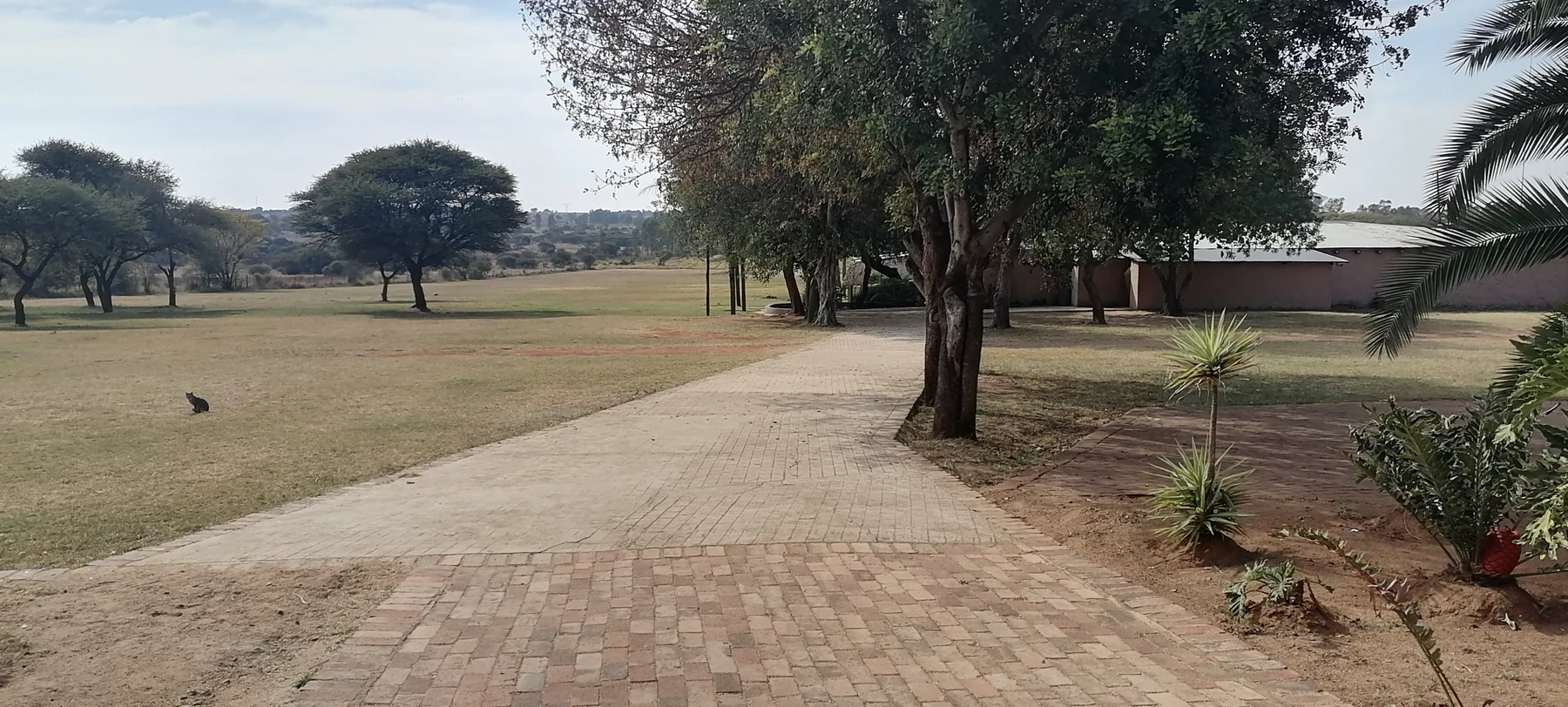 Hoffanhein Lodge grounds, trees and driveway
