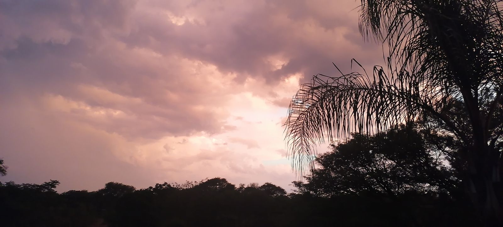 Outdoor activity, grounds and scenery