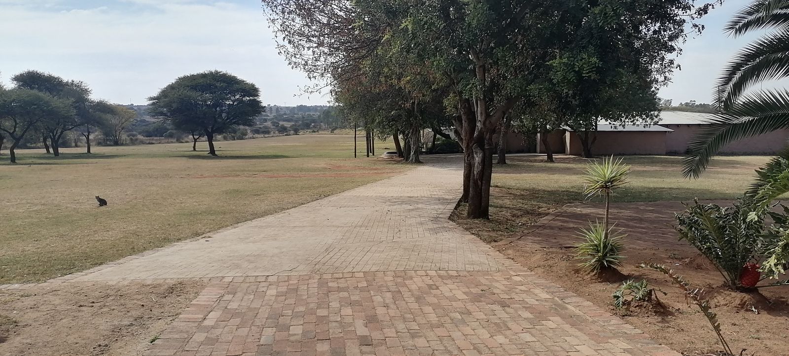 Outdoor activity, grounds and scenery