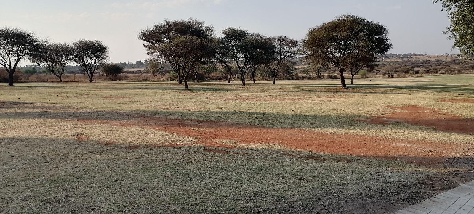 Outdoor activity, grounds and scenery