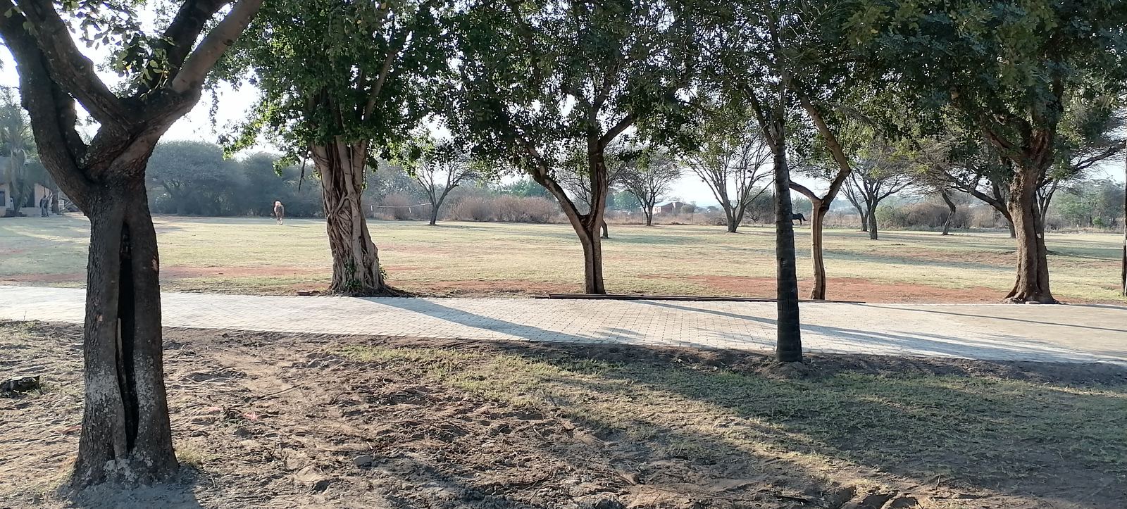 Outdoor activity, grounds and scenery