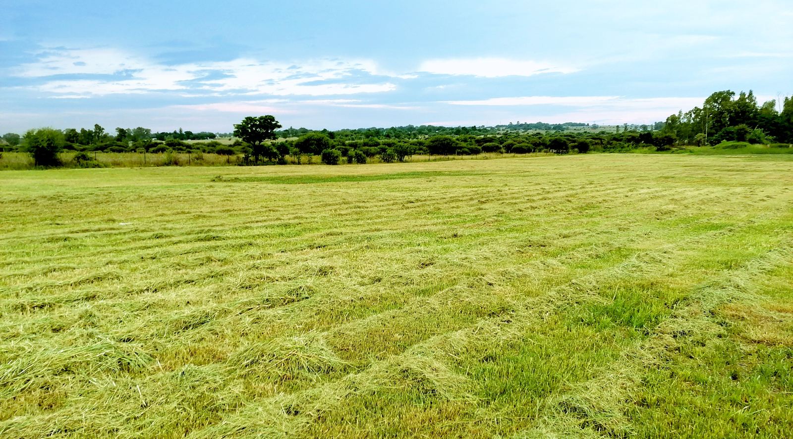 Outdoor activity, grounds and scenery