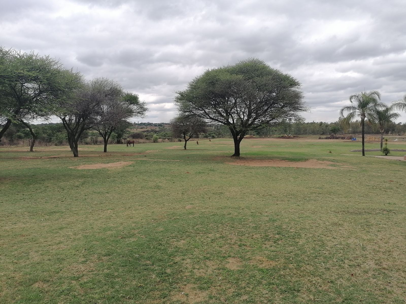 Outdoor activity, grounds and scenery
