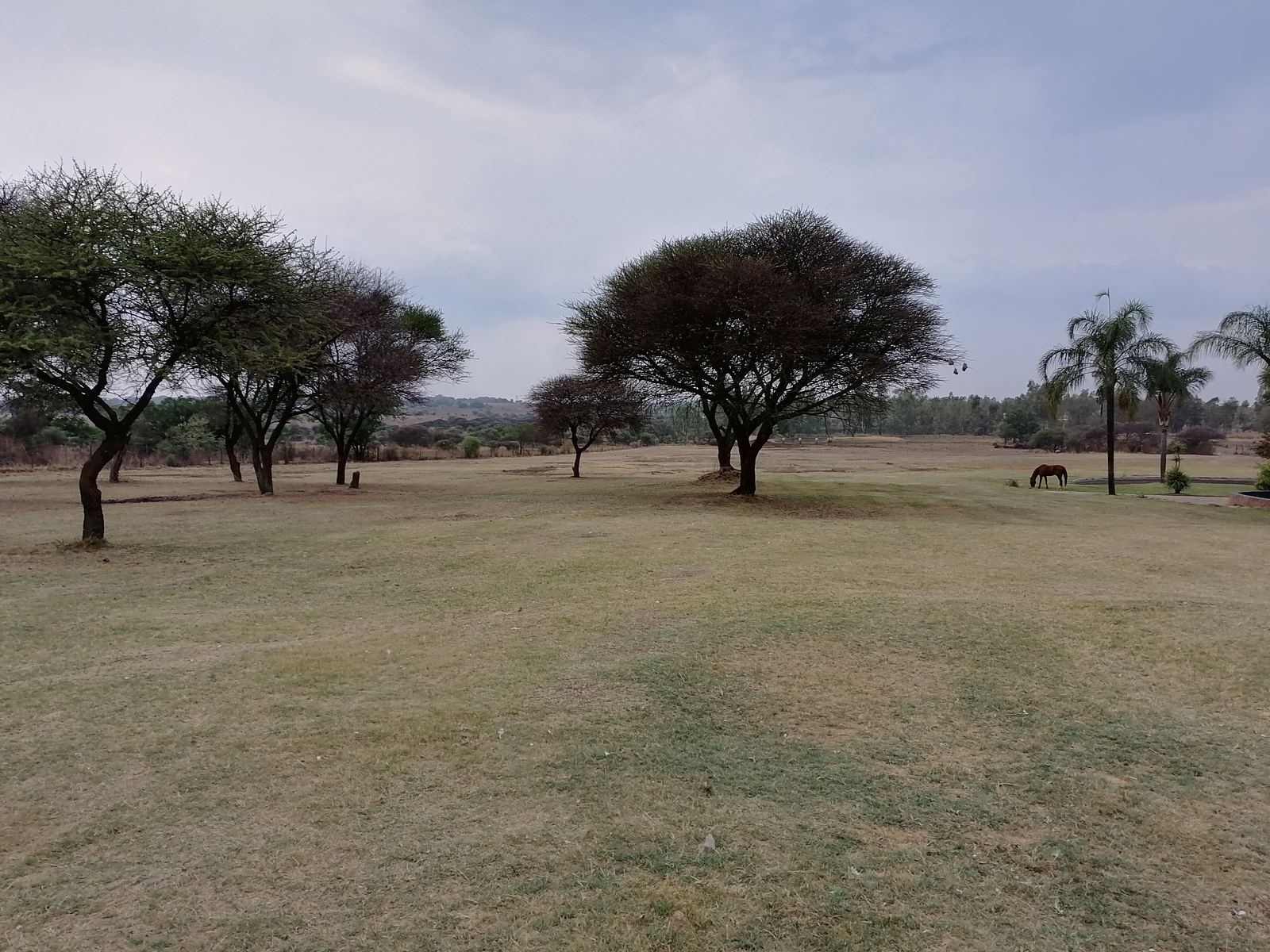 Outdoor activity, grounds and scenery