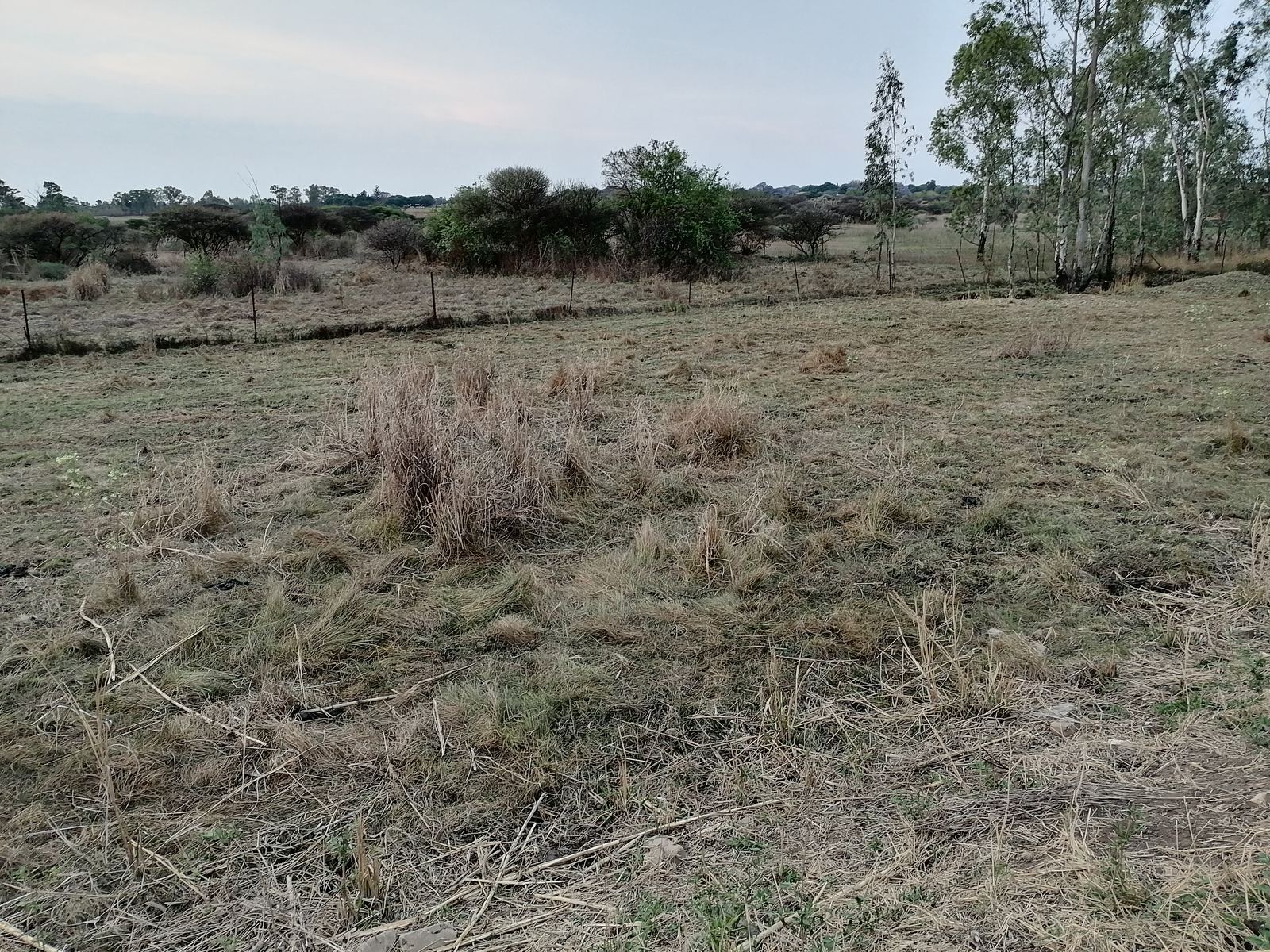 Outdoor activity, grounds and scenery