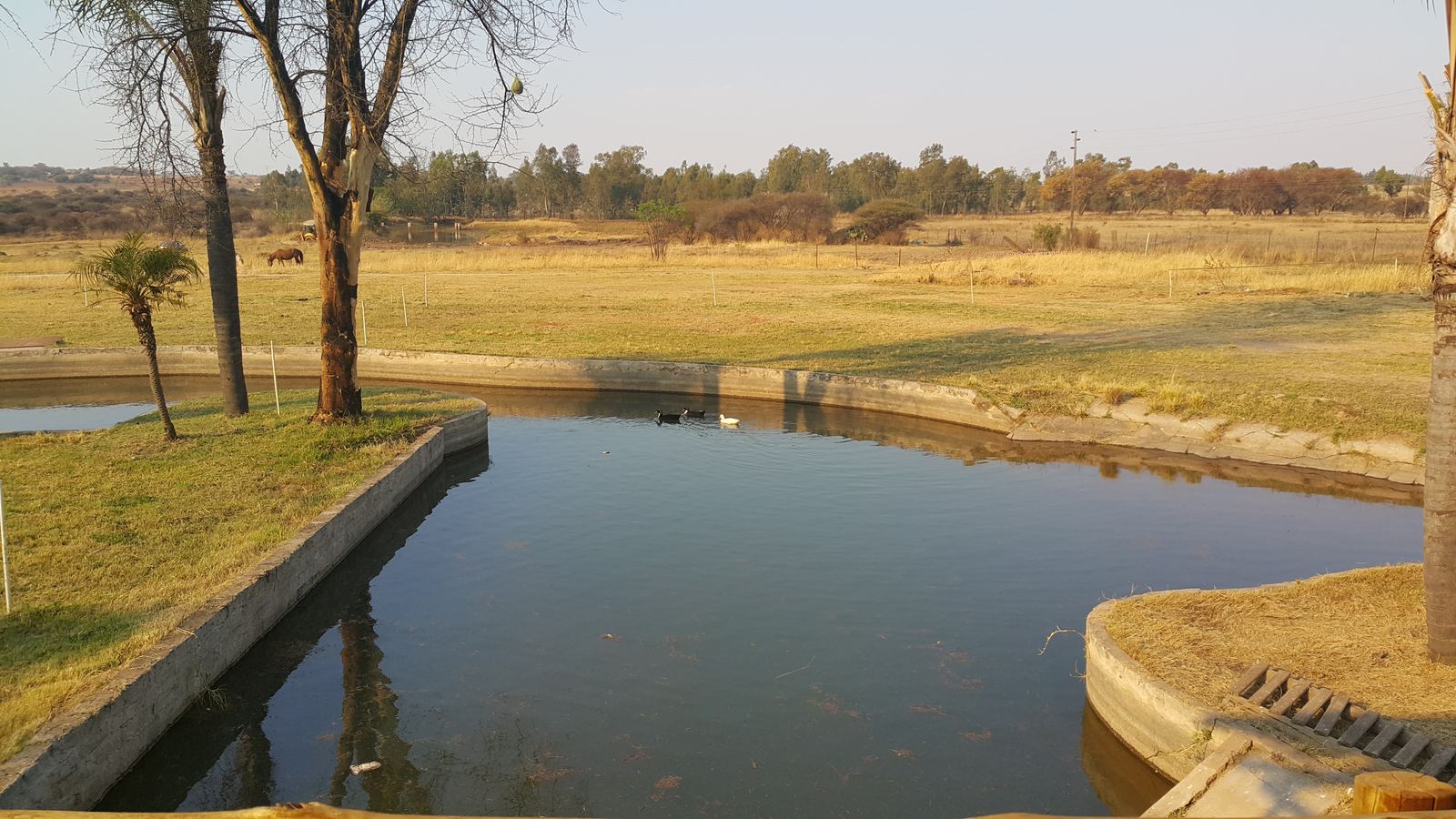 Outdoor activity, grounds and scenery