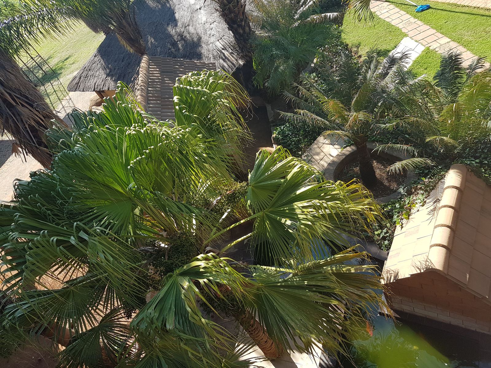 Outdoor activity, grounds and scenery