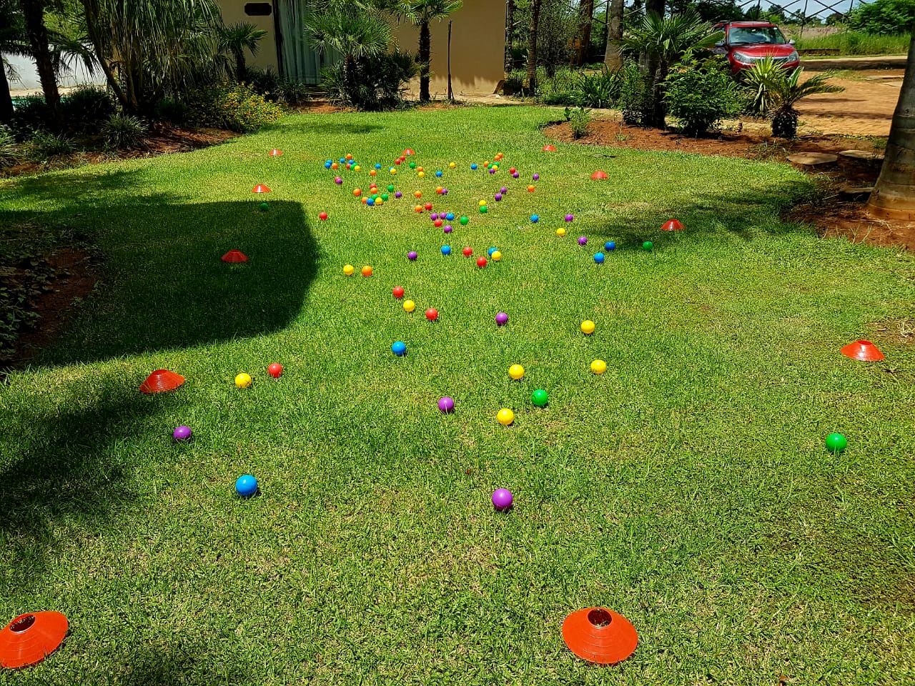 Outdoor activity, grounds and scenery