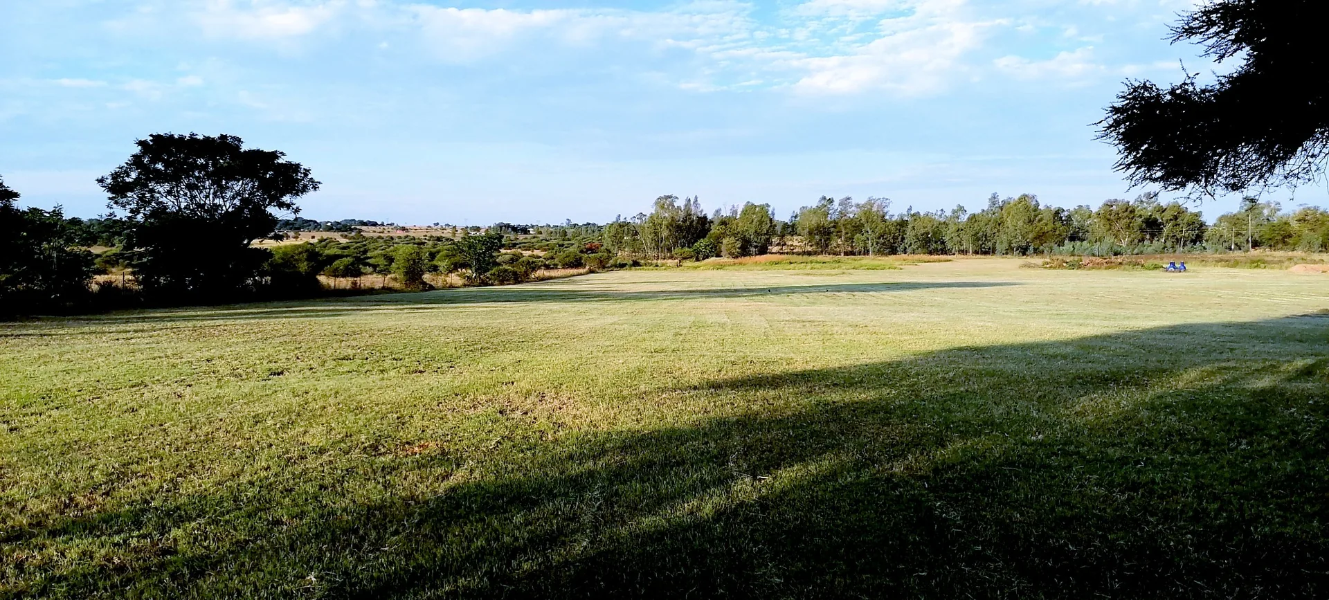 Open spaces and gardens